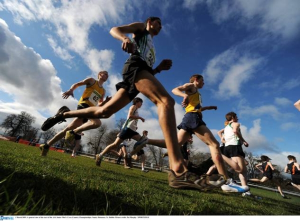 Irish Cross Country Championships